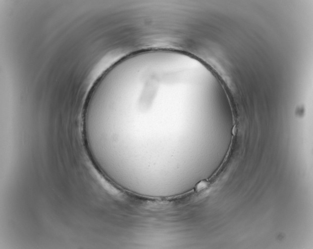 X0000091571285200709100949