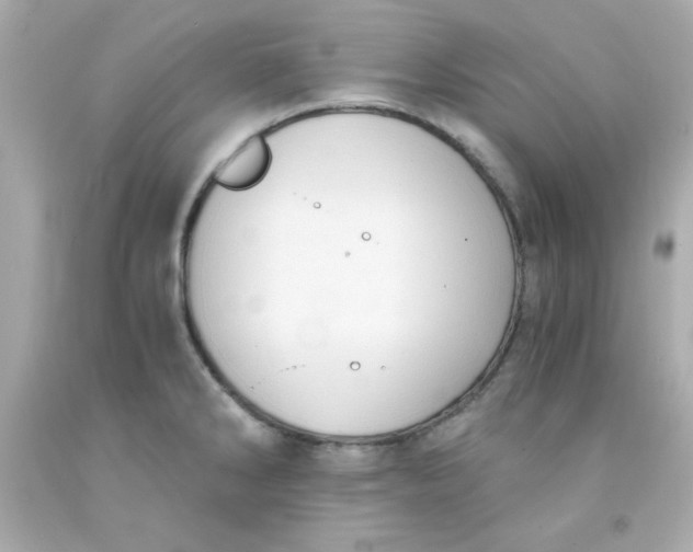 X0000091571286200709100949