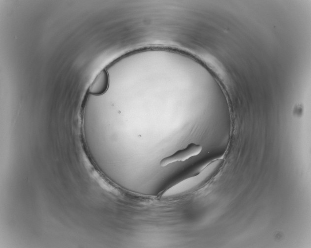 X0000091571287200709100949