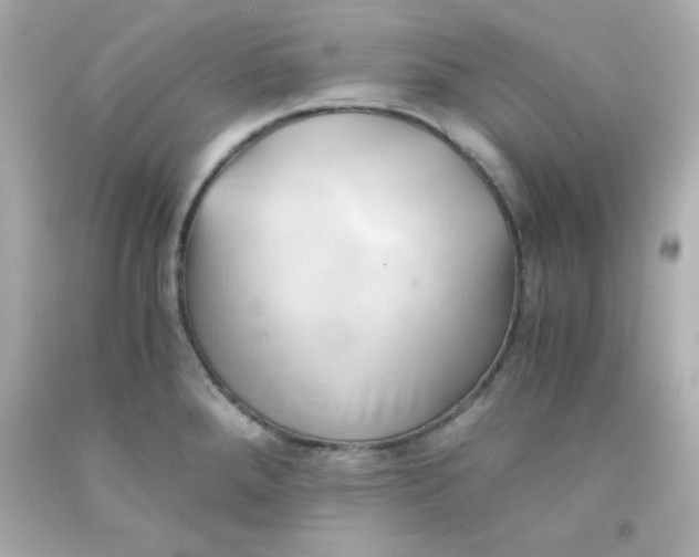 X0000091571288200709100949