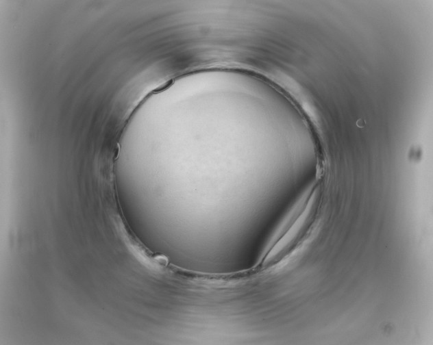 X0000091571289200709100949