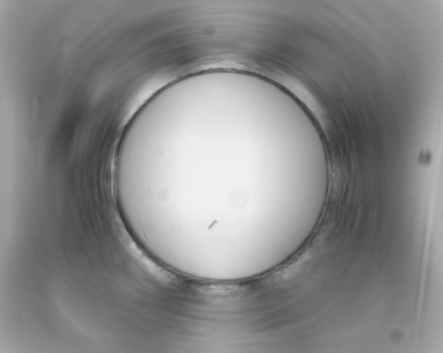 X0000091571290200709100949