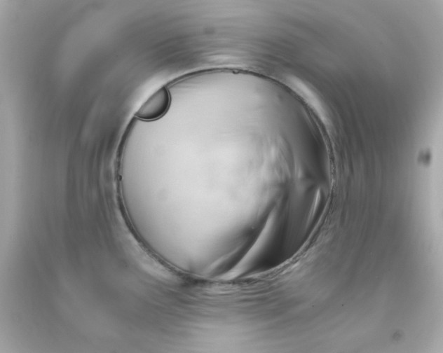 X0000091571291200709100949