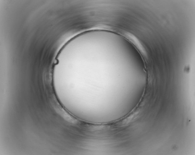 X0000091571292200709100949