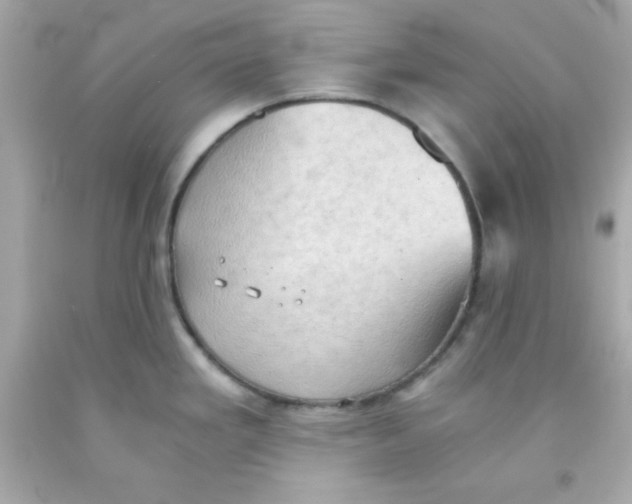 X0000091571293200709100949