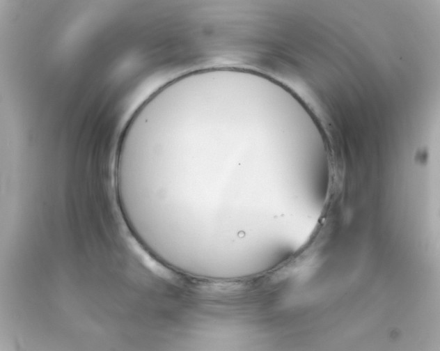 X0000091571294200709100949