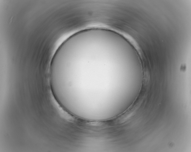 X0000091571295200709100949