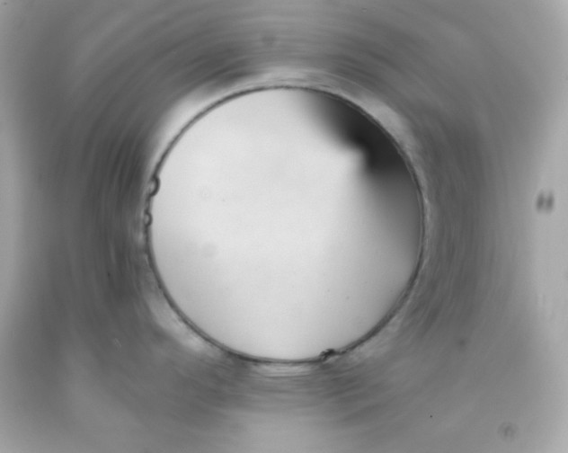 X0000091571296200709100949