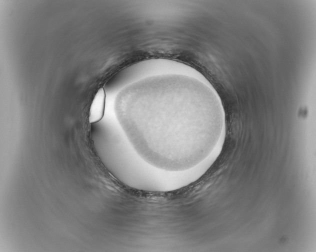 X0000091571297200709100948