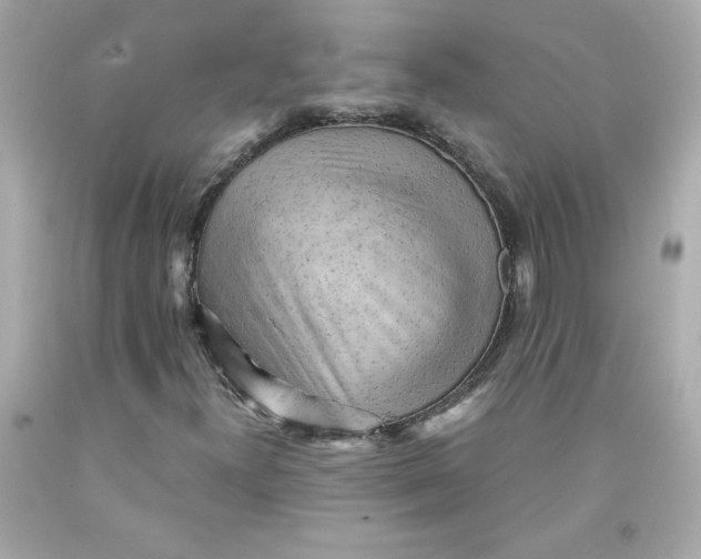 X0000091571300200709100948