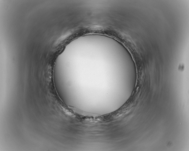 X0000091571301200709100948