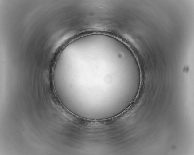 X0000091571307200709100948