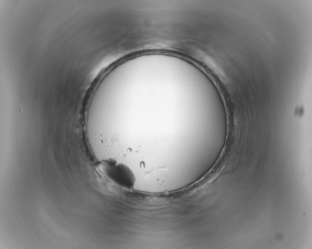 X0000091571308200709100948