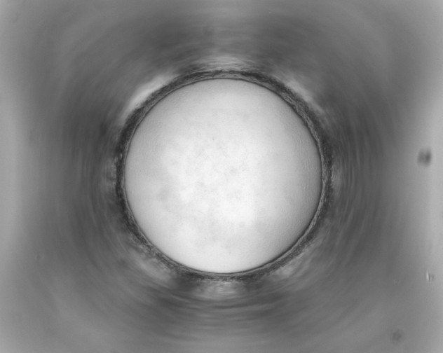 X0000091571309200709100948