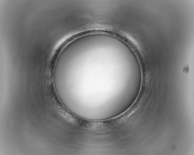 X0000091571310200709100948