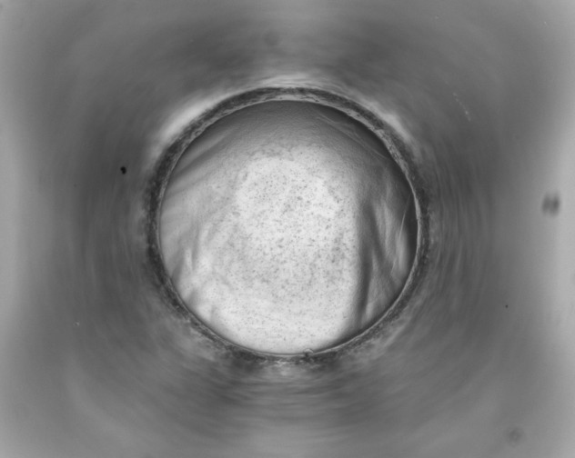 X0000091571311200709100948