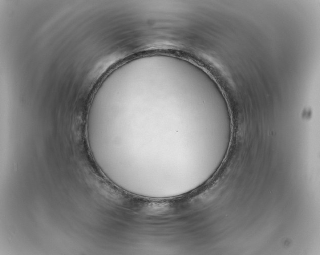 X0000091571313200709100948