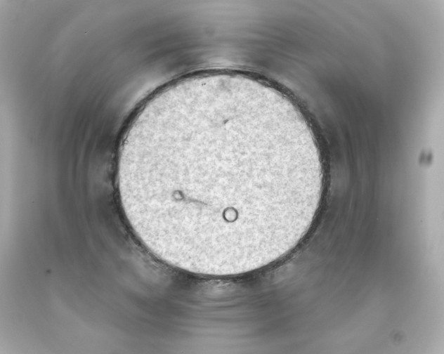 X0000091571314200709100948