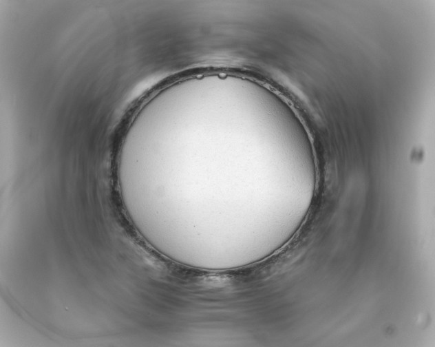 X0000091571315200709100948