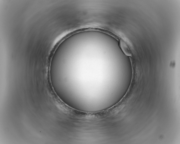 X0000091571316200709100948