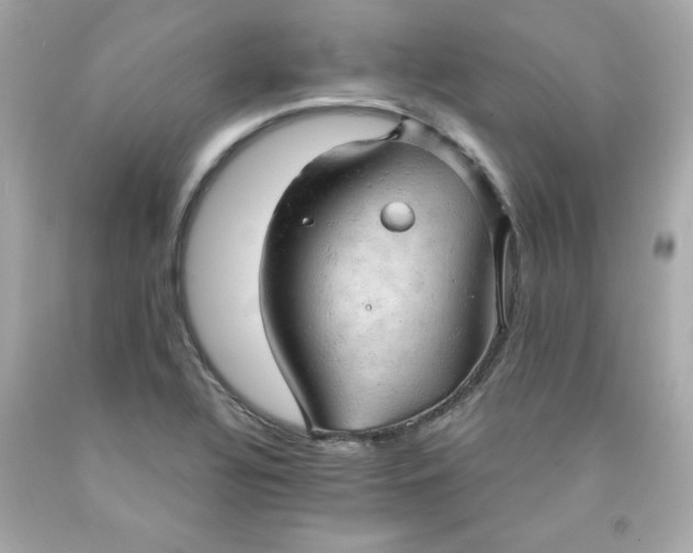 X0000091571320200709100948