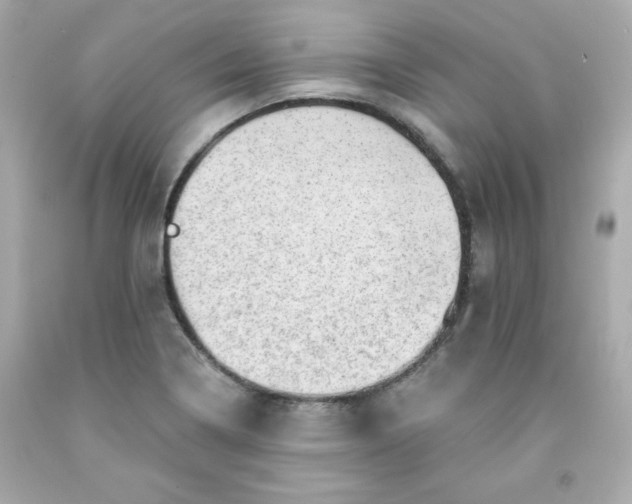 X0000091571322200709100948