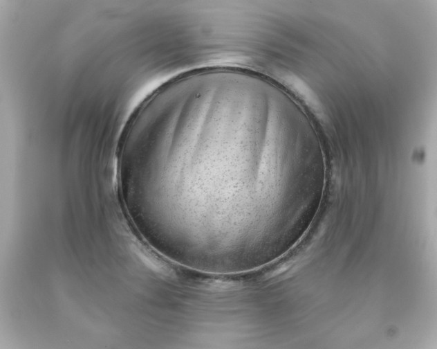 X0000091571324200709100948