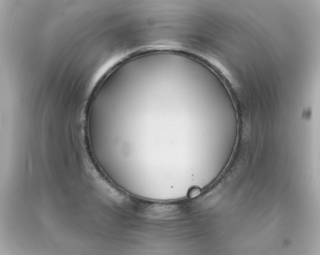 X0000091571325200709100948