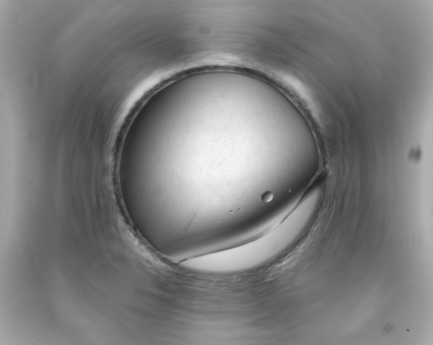 X0000091571326200709100948