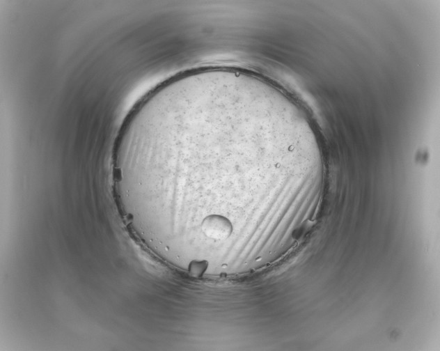 X0000091571328200709100948