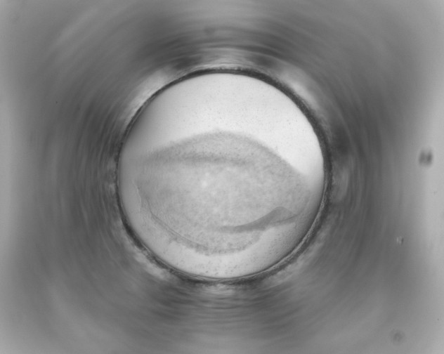 X0000091571329200709100948