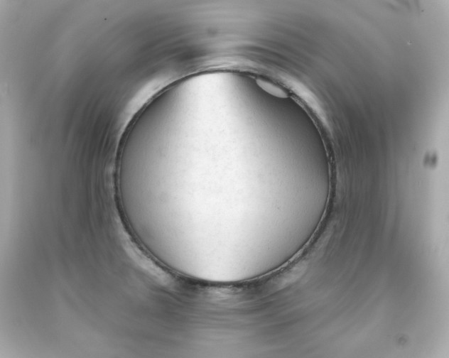 X0000091571330200709100949