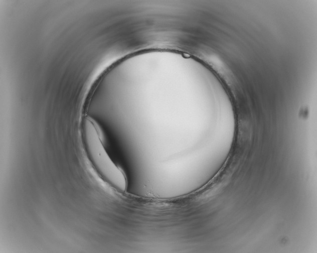 X0000091571331200709100949