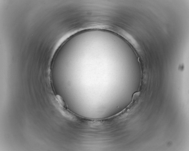 X0000091571332200709100949