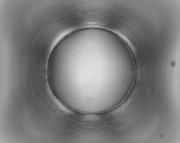 X0000091571333200709100949