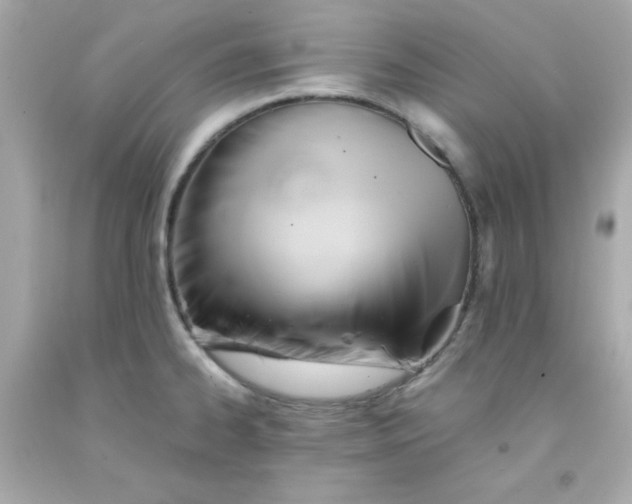 X0000091571334200709100949