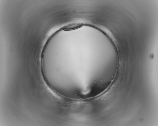 X0000091571335200709100949