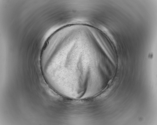 X0000091571336200709100949