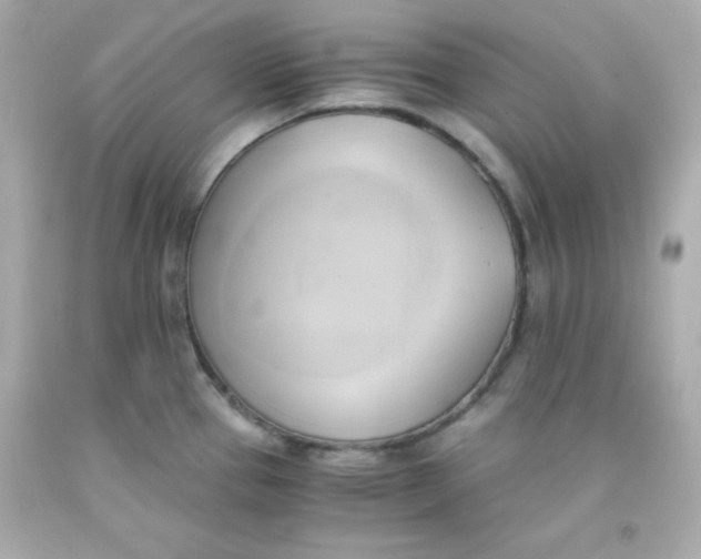 X0000091571337200709100949