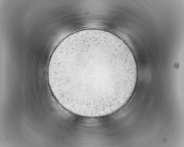 X0000091571338200709100949