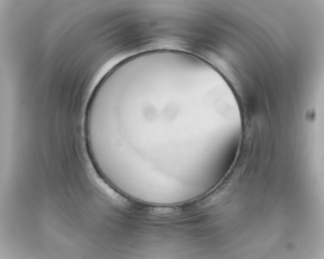 X0000091571339200709100949