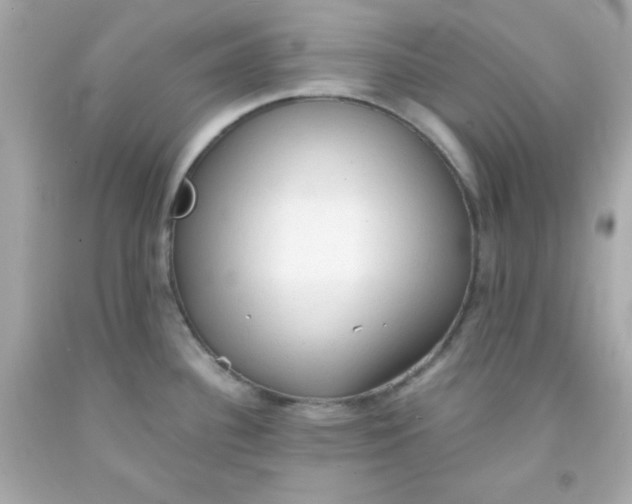 X0000091571340200709100949