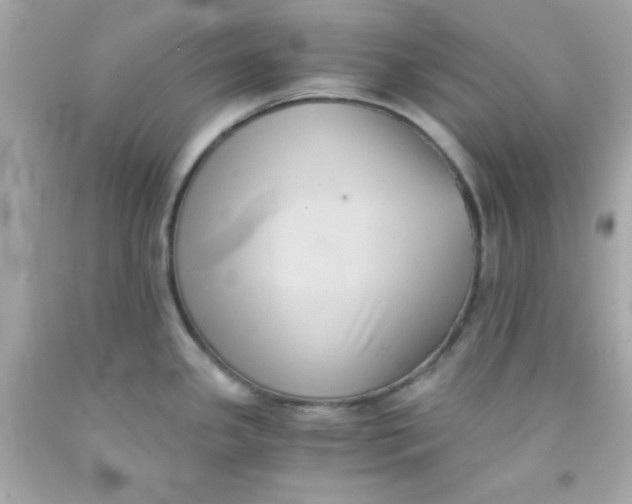 X0000091571341200709100949