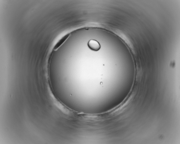 X0000091571342200709100949