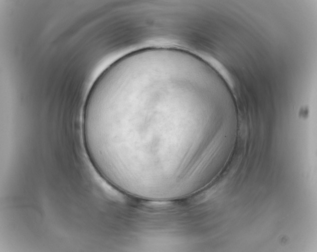 X0000091571343200709100949