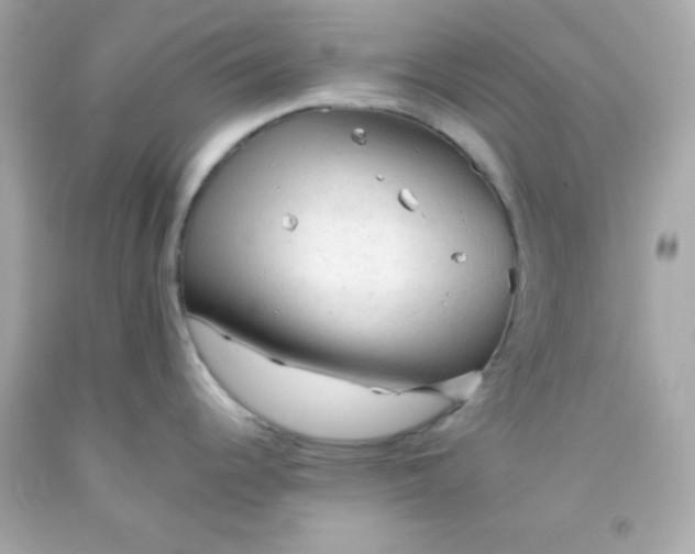 X0000091571344200709100949