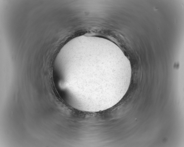 X0000091571345200709100948