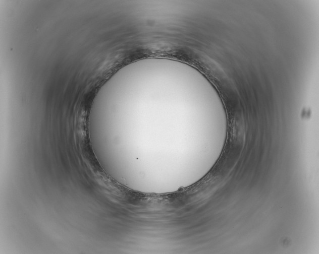 X0000091571346200709100948