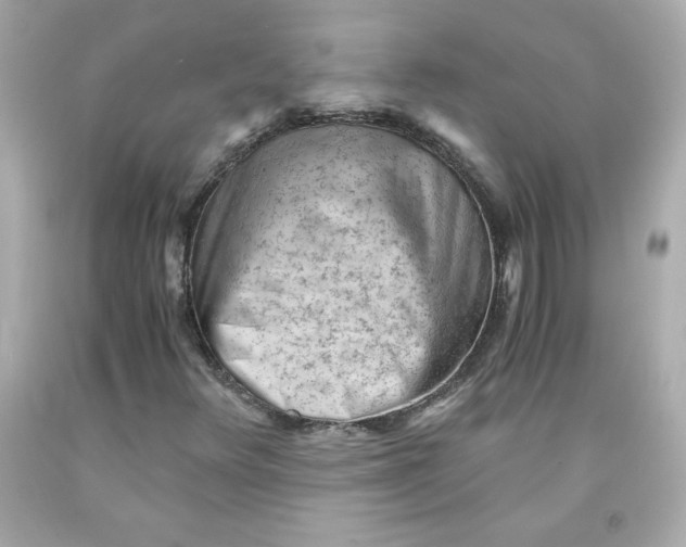 X0000091571348200709100948