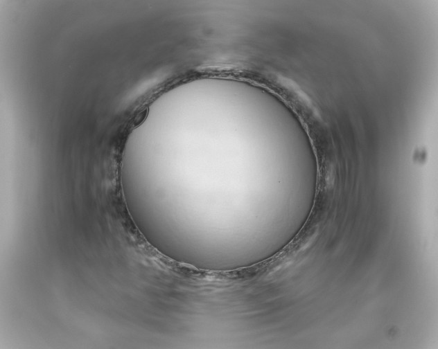 X0000091571350200709100948